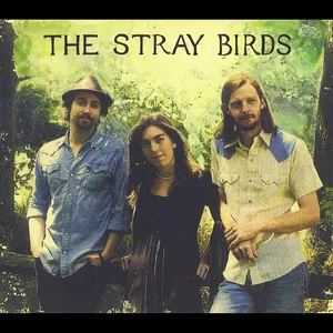 The Stray birds